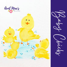 Load image into Gallery viewer, Baby Chicks
